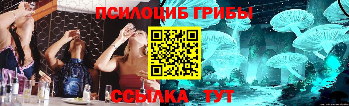 закладка  Вход с VPN  Майкоп  Псилоцибиновые грибы Cubensis  Галлюциногенные грибы Psilocybe 